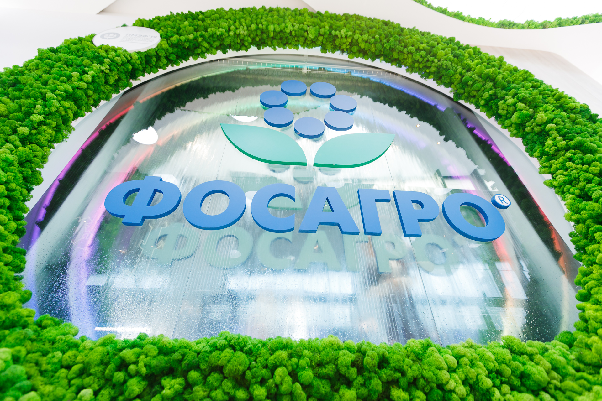 Литвиненко передал жене 20,6% акций "Фосагро"