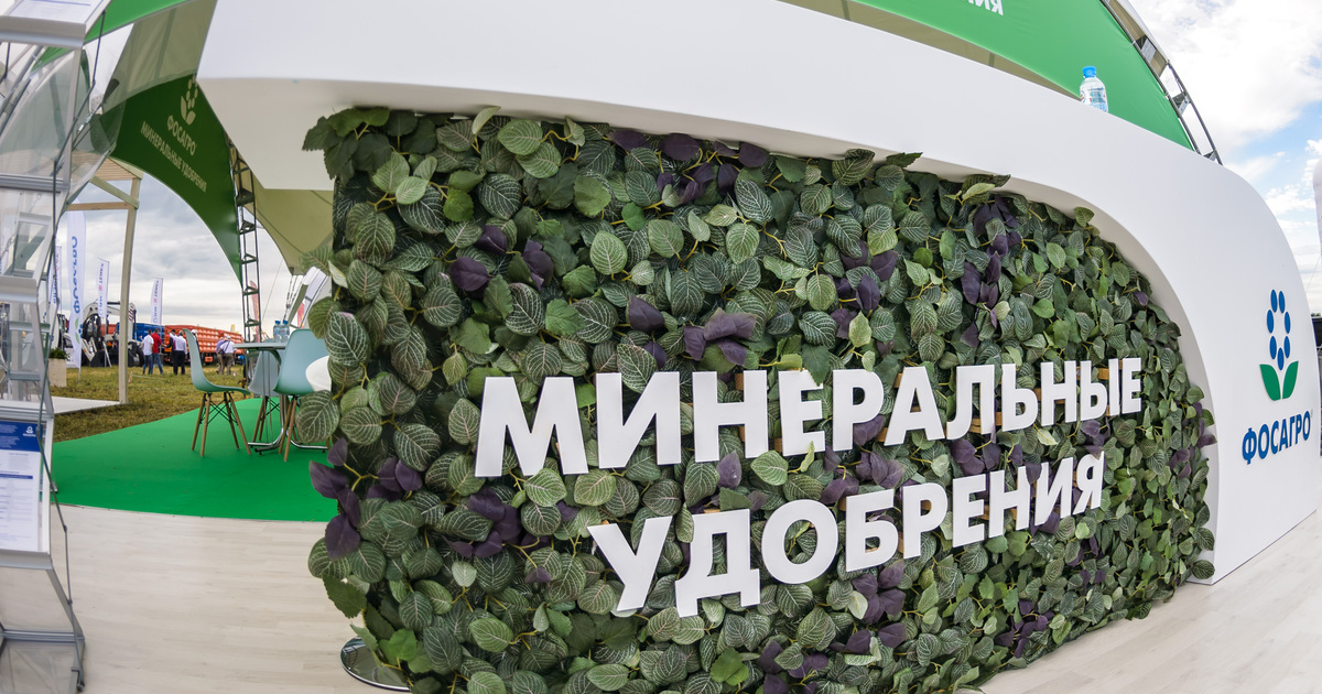 Акции Фосагро Купить Цена