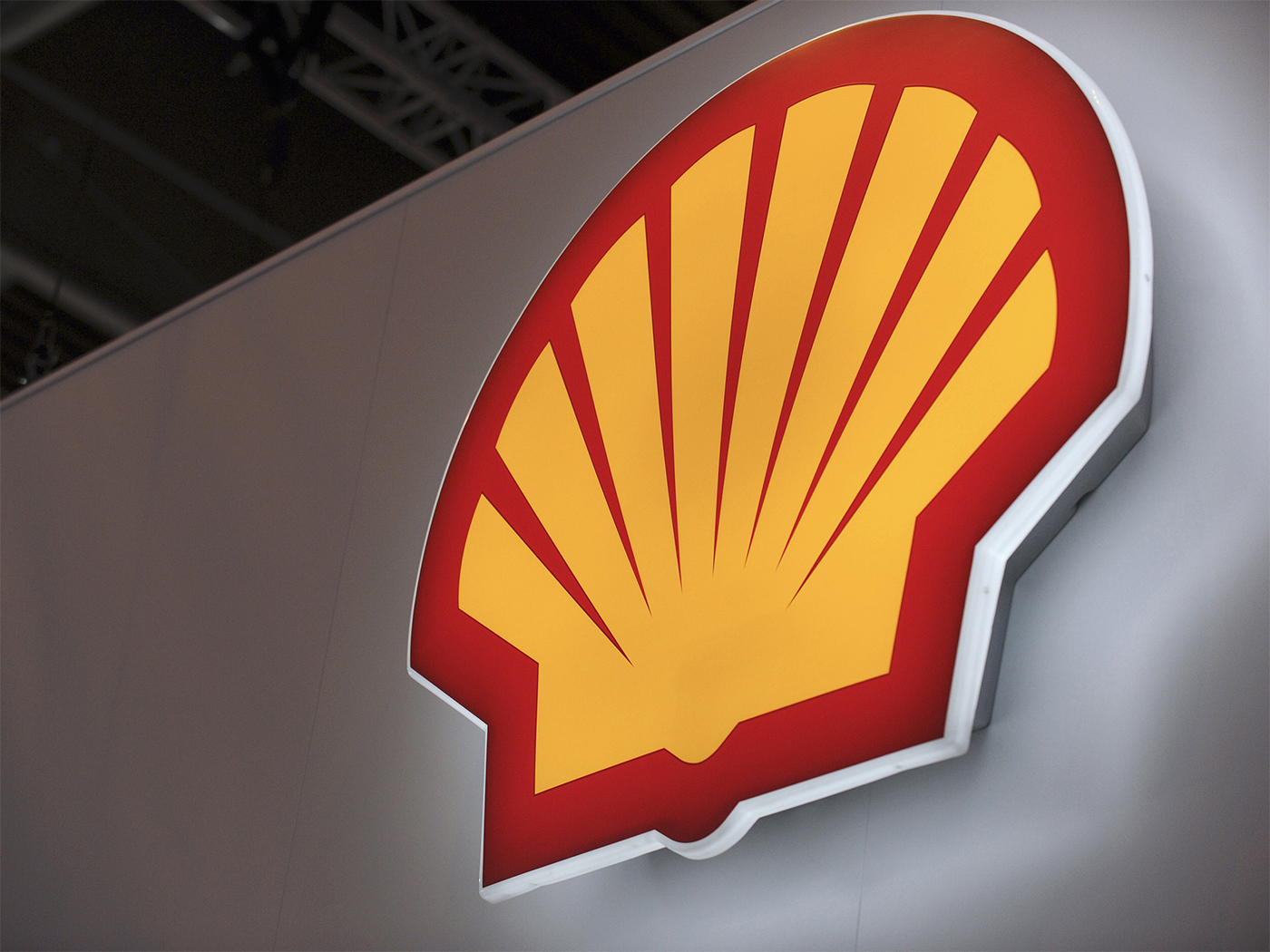 Bu Shell 3u5frxpf986bu3ccrsfukksbia6lidh6.jpg