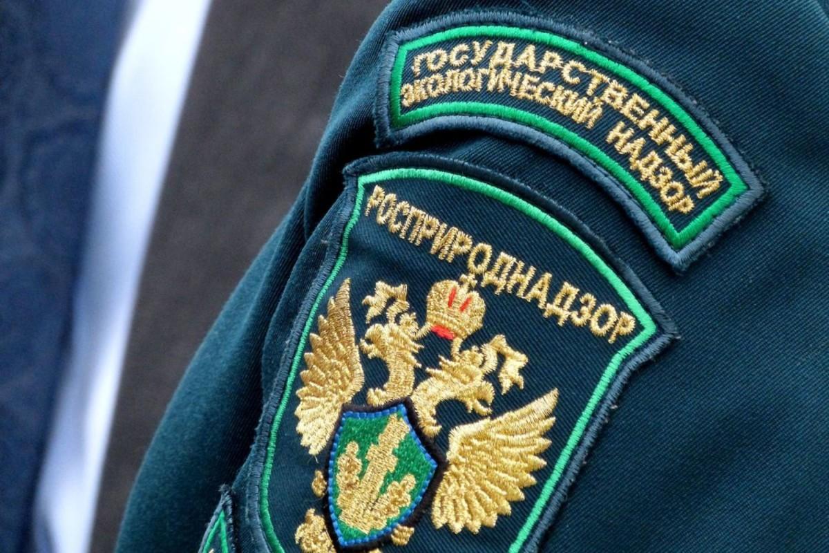Ростовский лакокрасочный завод оштрафован за загрязнение воздуха