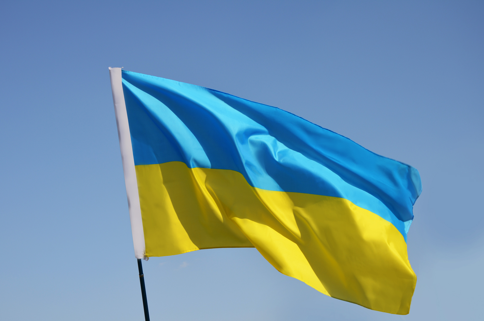 Как выглядит флаг украины картинка
