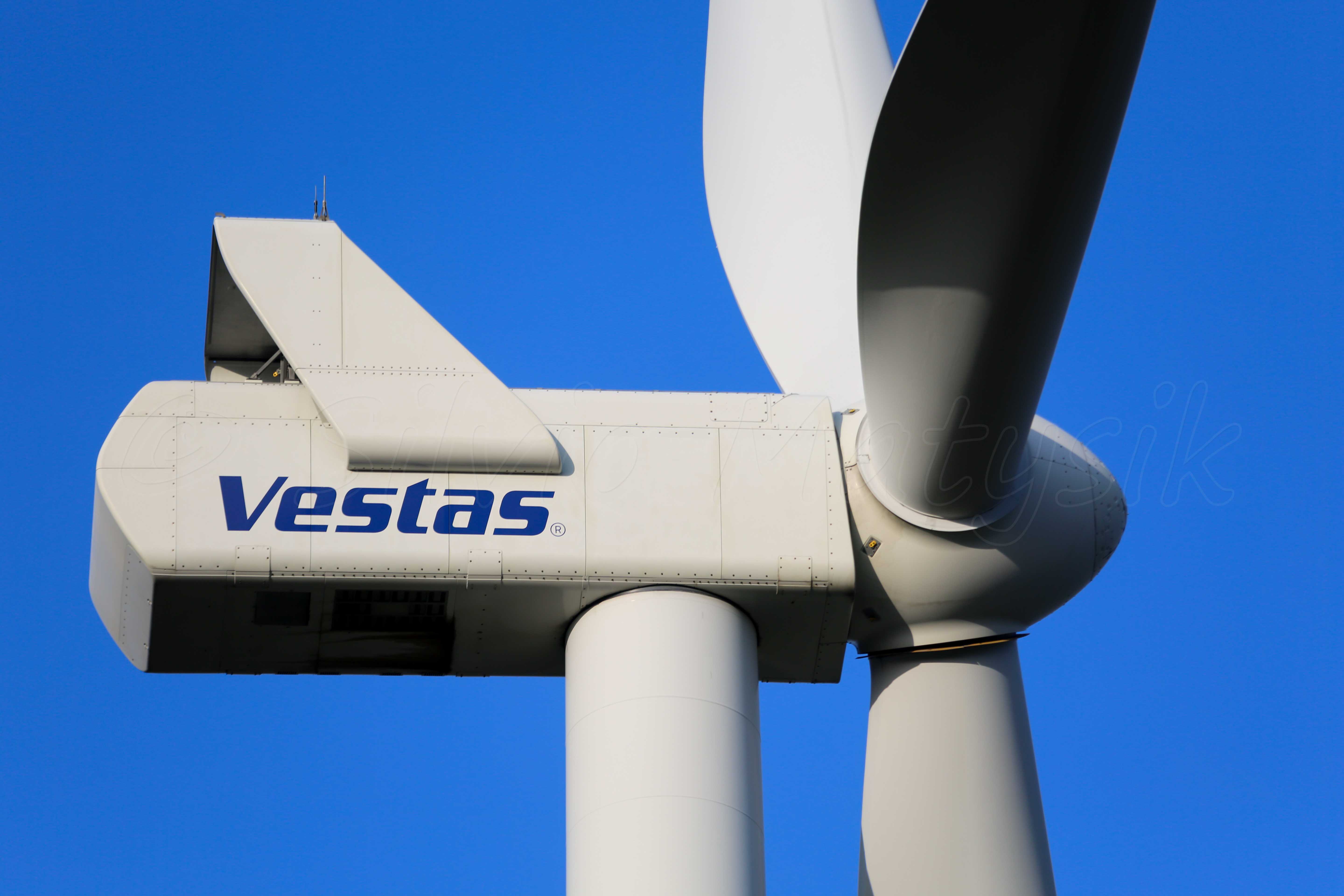 Датская Vestas планирует покинуть Россию