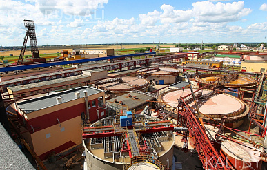 США окончательно сняли санкции с "Беларуськалия"