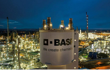 BASF планирует полностью выкупить Alsachimie у DOMO Chemicals