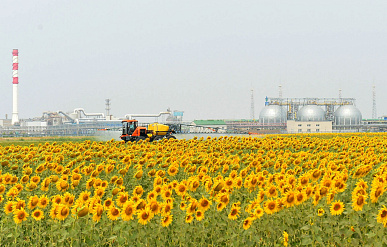 В Азербайджане предложили освободить импорт удобрений от НДС