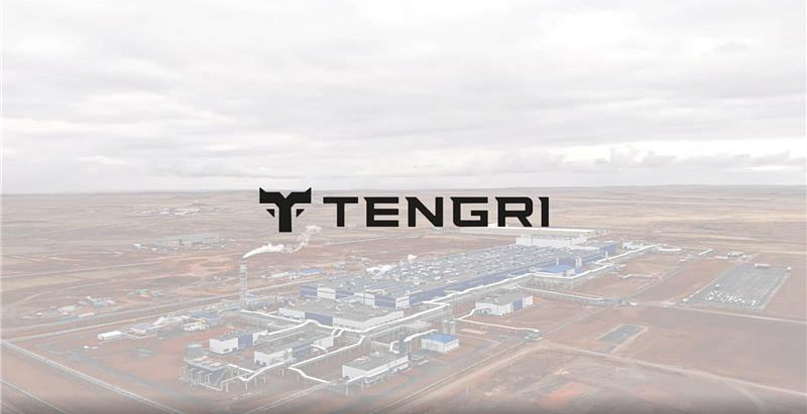 До конца года завод Tengri Tyres "Татнефти" произведет только 1 млн шин вместо заявленных 3,5 млн
