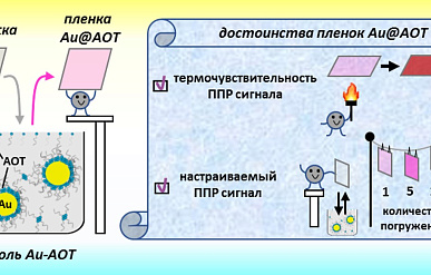 В ИНХ СО РАН разработали методику получения композитных пленок с наночастицами золота