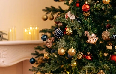 Braskem и Balsam Hill представили первые в мире новогодние ели из "биопластика"