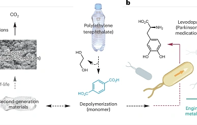 Ученые разработали технологию переработки ПЭТ в лекарство от Паркинсона