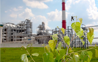 Правительство выделит 50 миллиардов рублей на проект "Татнефти" по производству ПЭТ