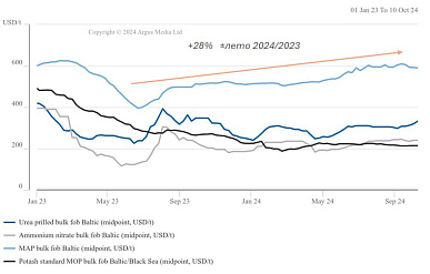 В 2024 году наблюдалось восстановление мировых котировок удобрений